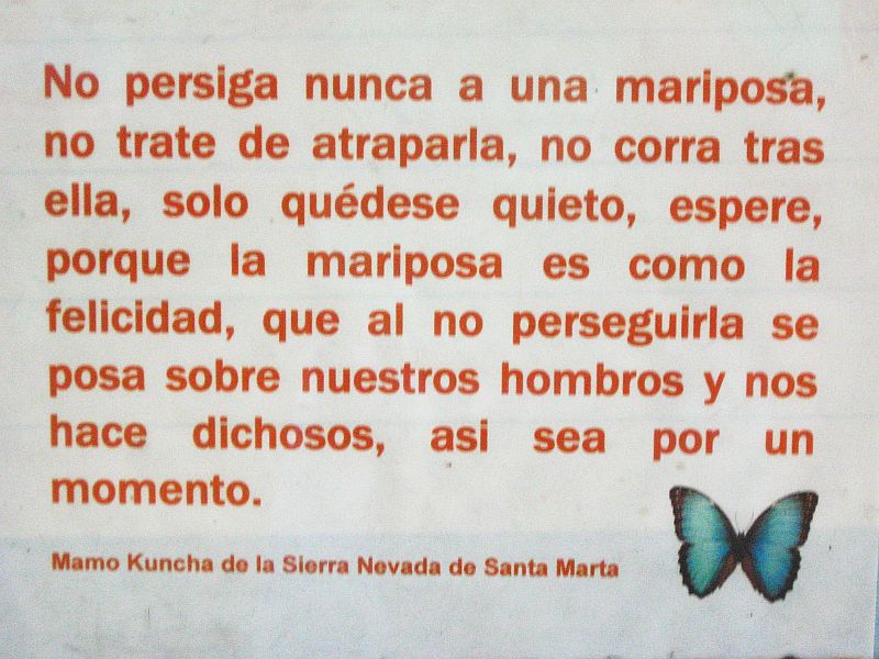 no la persigas